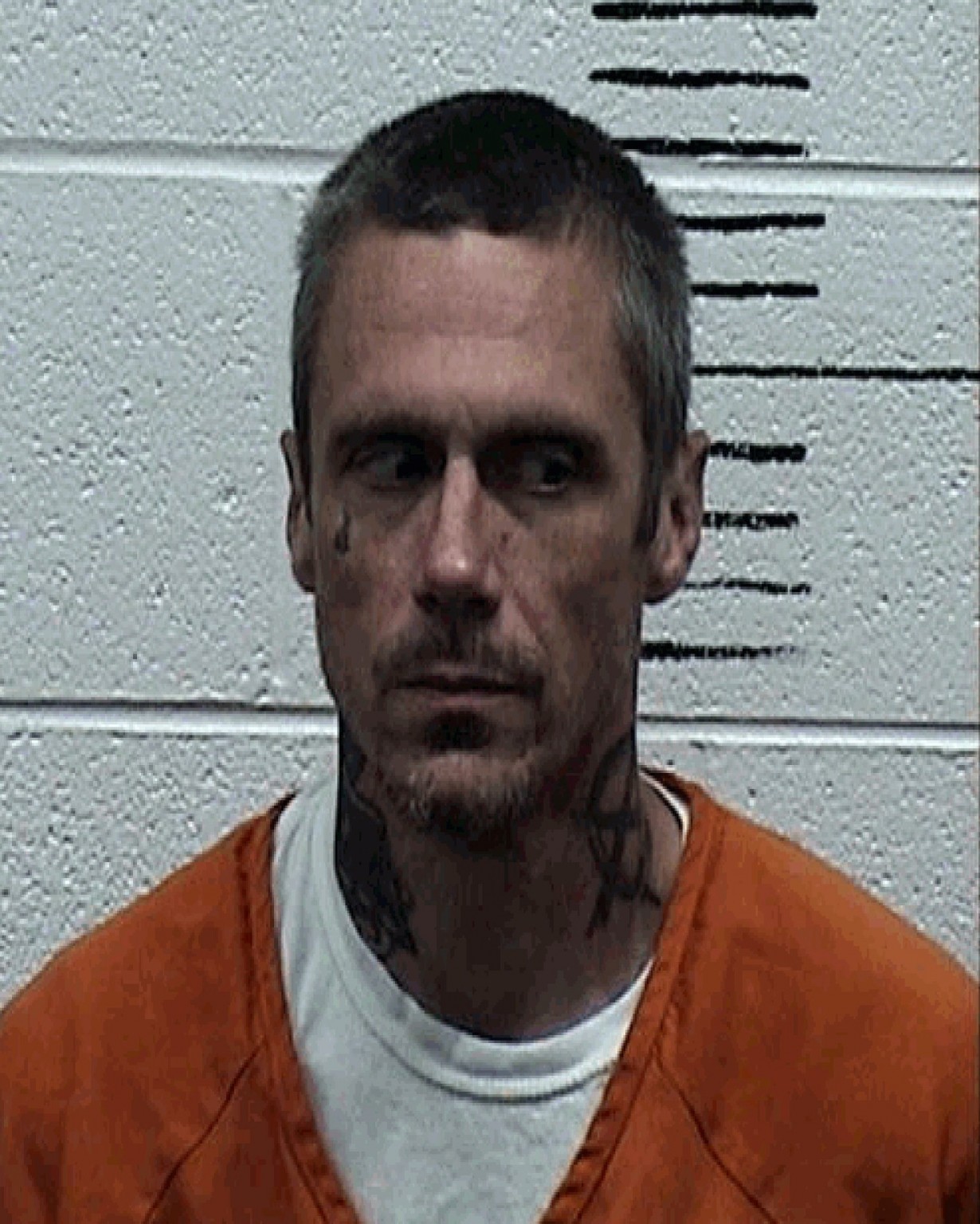 Wbbj Mugshots Jackson Tn - 15ob1iu