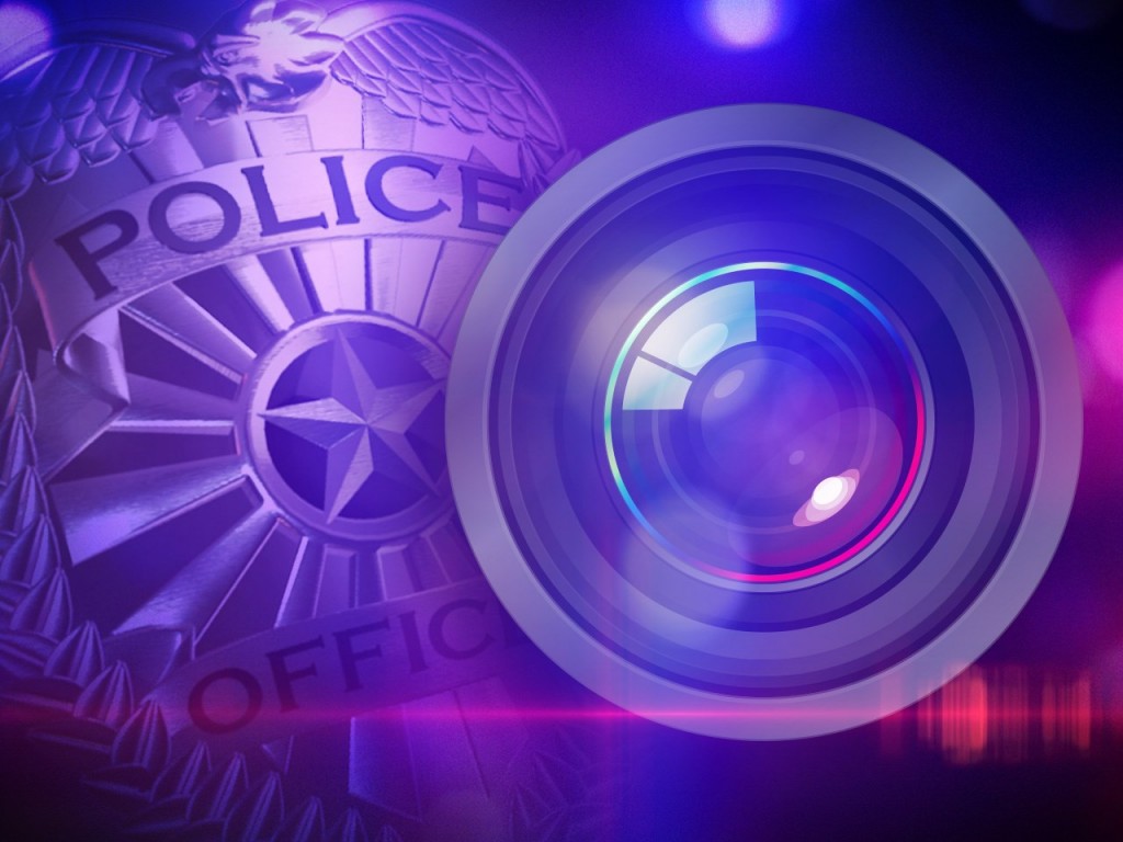 tennessee officer fired