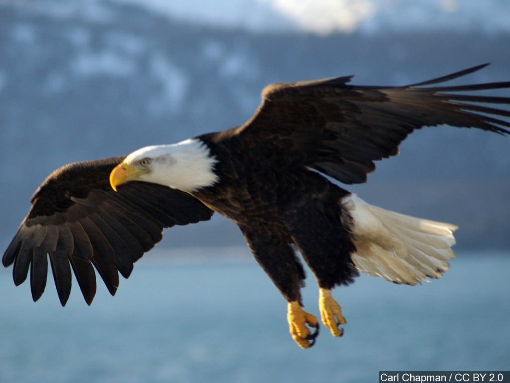 Mgn 1280x960 70630p00 Jsknz