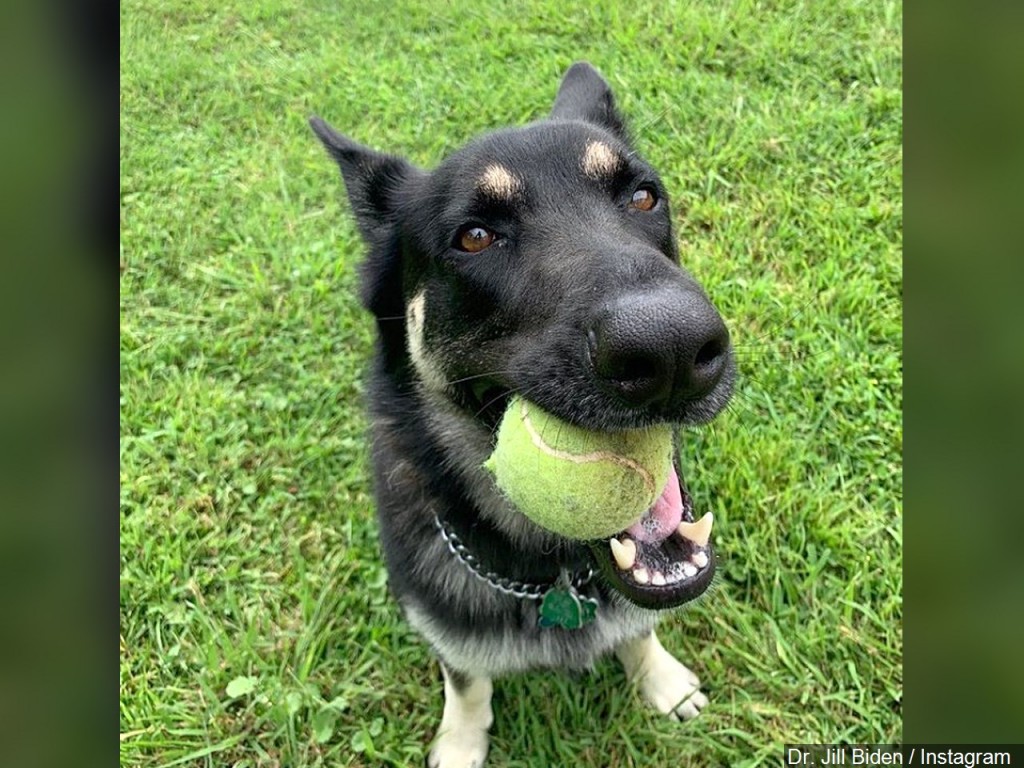 Mgn 1280x960 10126p00 Qxsvf