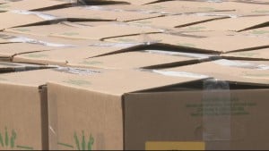 Food Giveaway 5pm Vosot