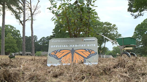 Screen Shot 2021 05 17 At 100245 Pm