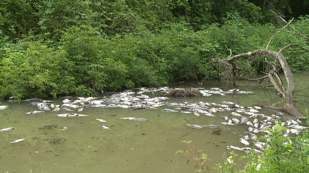 Screen Shot 2021 05 27 At 95040 Pm