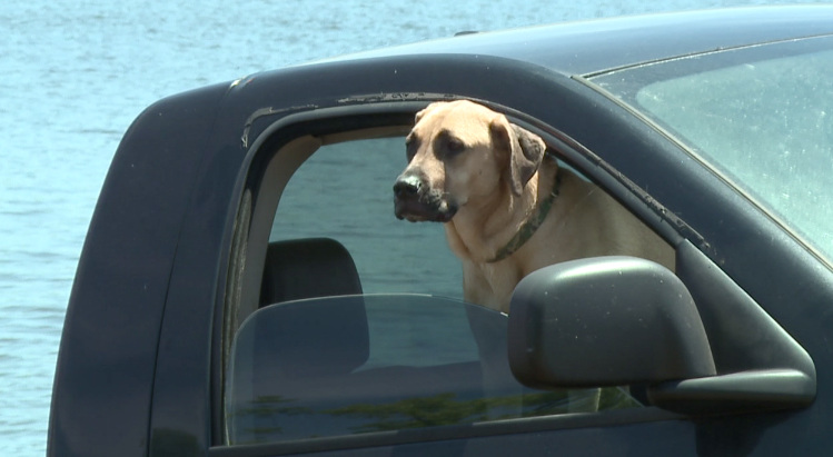 Memorial Day At Beech Lake 3