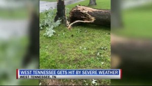 Humboldt Storm Damage 10pm Pkg