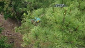 Parrot Escape 6pm Pkg