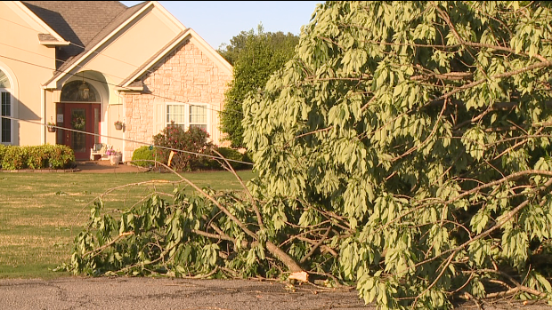 Screen Shot 2021 05 06 At 95328 Pm