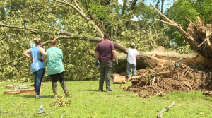 Weakley County Storm Damage 050421 2