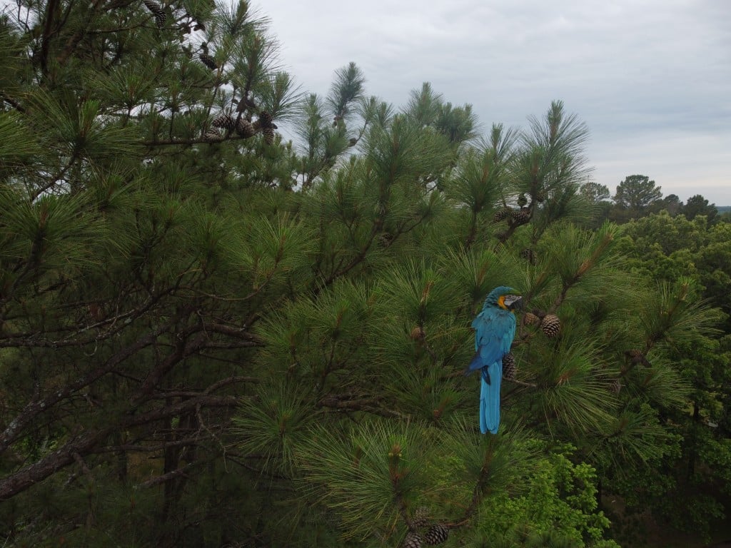 Dcim100mediadji 0163.jpg