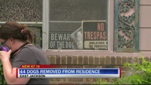 Lockwood Animal Rescue 10pm Vosot