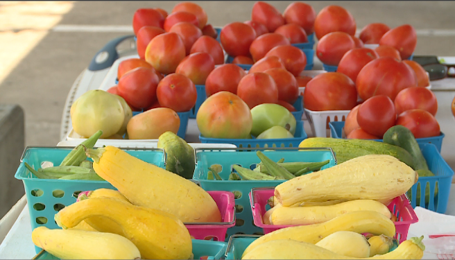 Wic Farmers Market 3
