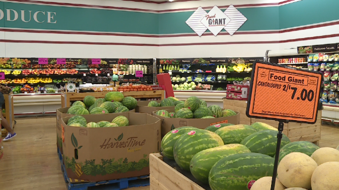 Screen Shot 2021 07 31 At 103200 Pm