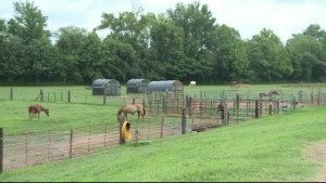 Horsin A Round Preview 5pm Pkg
