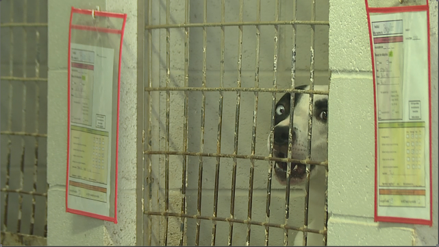 Screen Shot 2021 07 07 At 61449 Pm