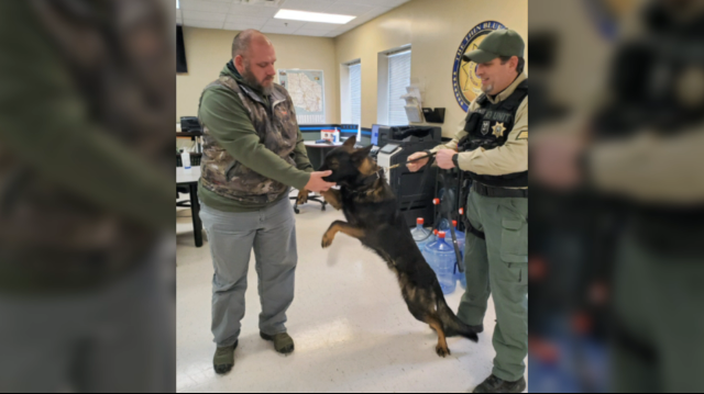 k-9