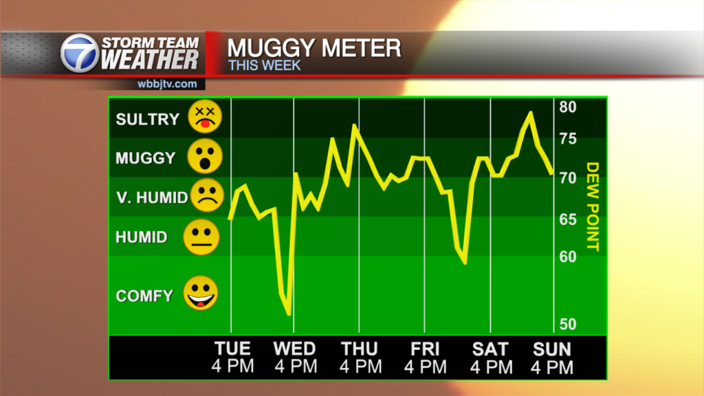 Muggy Meter 1607543012179