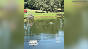 Vehicle Of William Brian Mckenzie Found 4