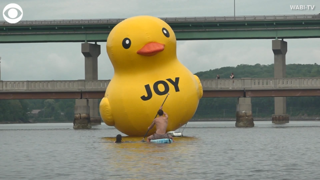 Duck