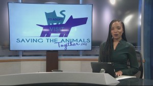 080721 Pet Of The Week