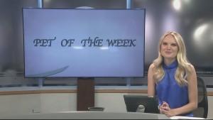 Pet Of The Week Matilda