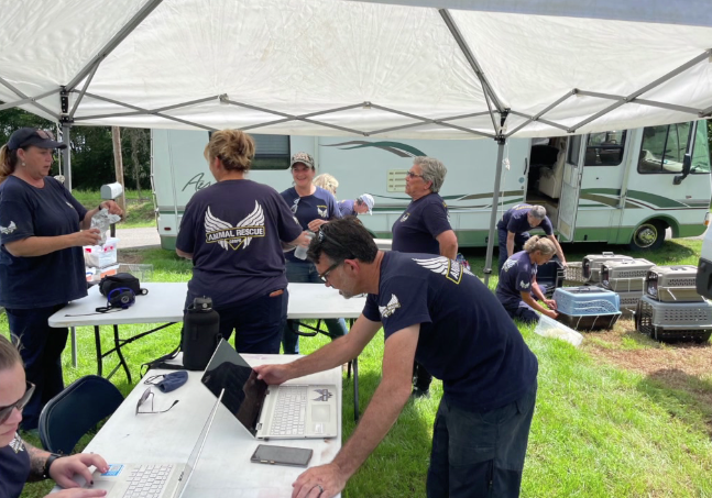 Screen Shot 2021 08 23 At 95724 Pm