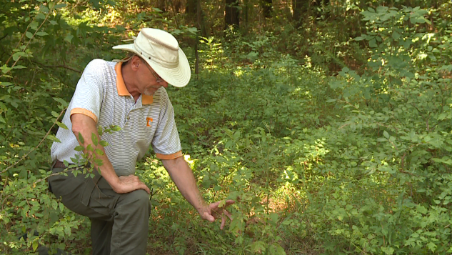 Tick Season 081021 2