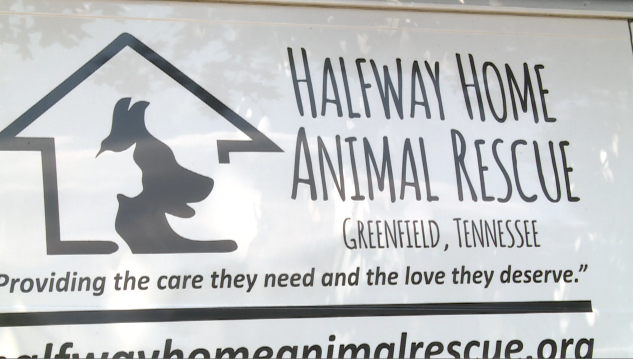 Three Dogs Left In Crate 080321 3