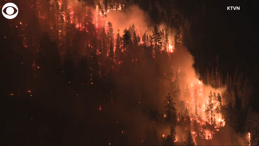 Wildfire