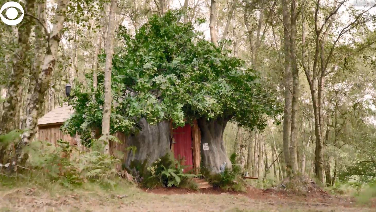 WEB EXTRA Winnie the Pooh Airbnb WBBJ TV