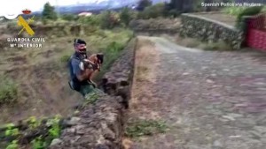 Animals Evacuated Area Around Volcano In Spain