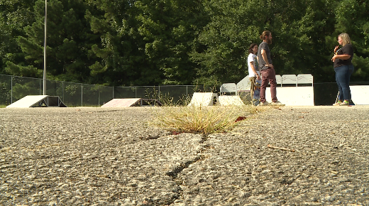 Muse Park Skate Park 2