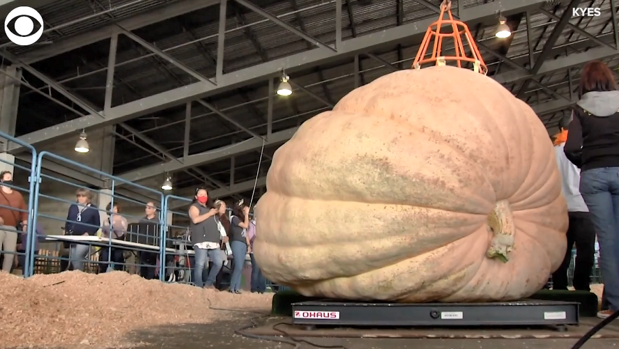 Pumpkin