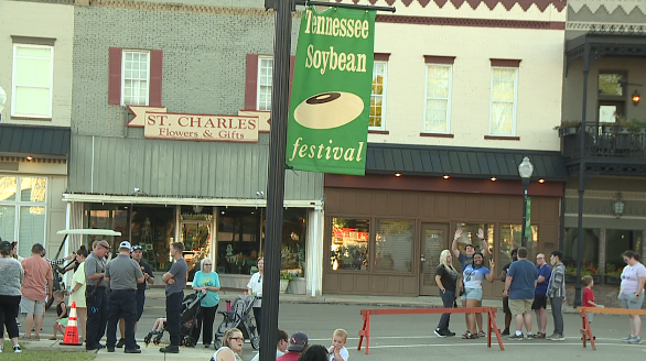 soybean festival