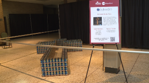 16th Annual Canstruction 5