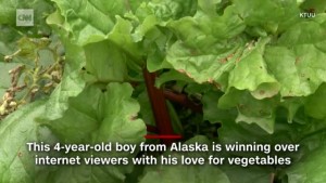 4 Year Old Goes Viral Over Veggies