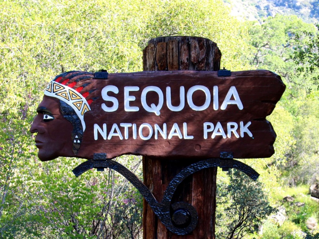Sequoia National Park