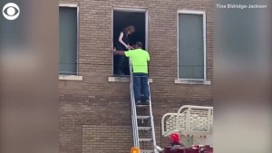 Reba Mcentire Rescued From Building After Stairs Collapsed