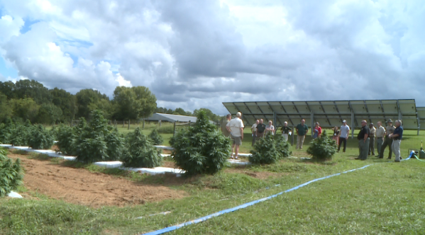 West Tennessee Law Enforcement Learn More About Hemp 3