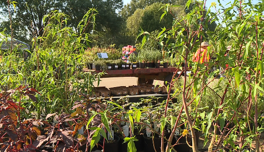 Ut Gardens Fall Plant Sale 2