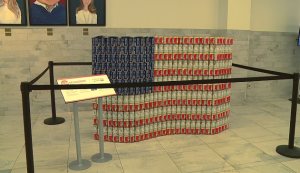 Canstruction At Discovery Park Of America 5