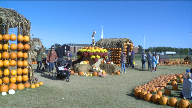 pumpkin