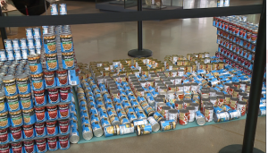 Canstruction At Discovery Park Of America 4