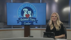 Dog Of The Week Lydia