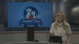 Feline Of The Week Pancho And Lefty