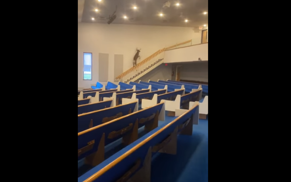 Deer In Church