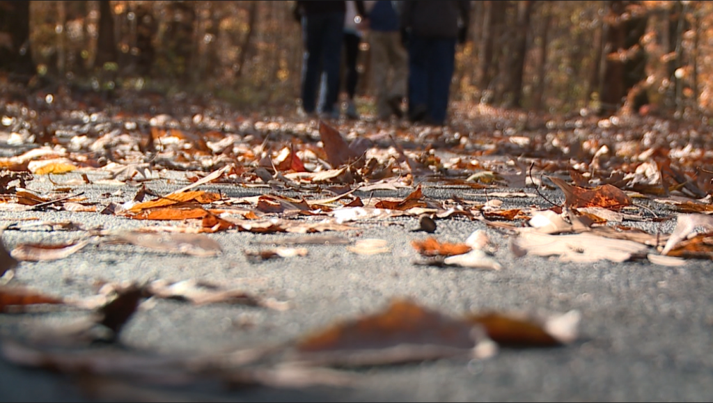 2021 After Thanksgiving Hike 1