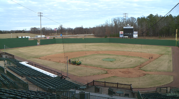 New leaders about Ballpark shares strategies for leisure