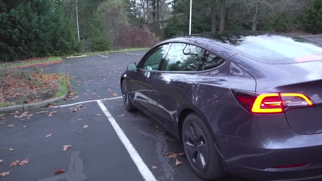 Video Games On Tesla While Driving Raise Concerns