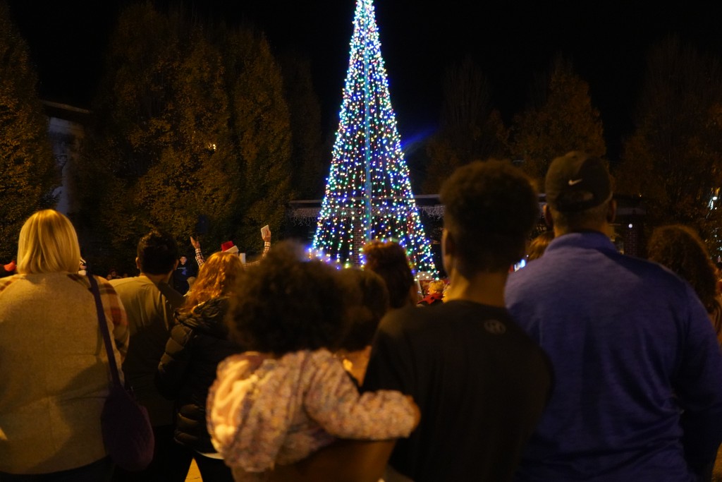 Humboldt Tree Lighting 8