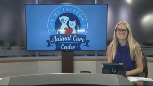 Monarch Cat Of The Week